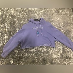 Lilo and Stitch Graphic Cropped Hoodie